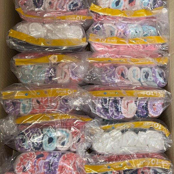 Hanes Girls’ Tagless Briefs – LOT 52 - 240 pcs – 24 packs (10 ea) – Sz 10 - NEW - Picture 2 of 3